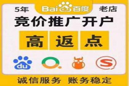 百度竞价广告投放全解析：成功案例揭秘